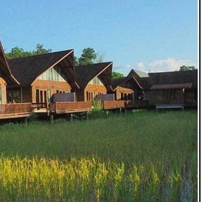 Mô hình farmstay Đà Nẵng - thiết kế giản dị với dàn hoa màu rộng lớn