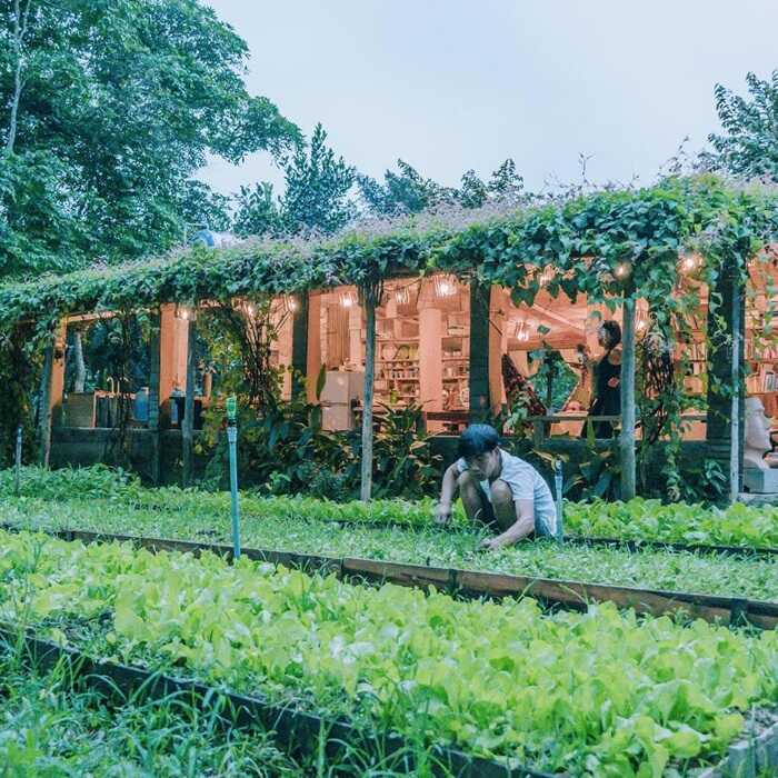 Thiết kế farmstay gần gữi với thiên nhiên, lựa chọn tông màu xanh tạo cảm giác không gian hài hòa